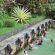Enjoy Water Spring of Banjar Hot Spring in Bali