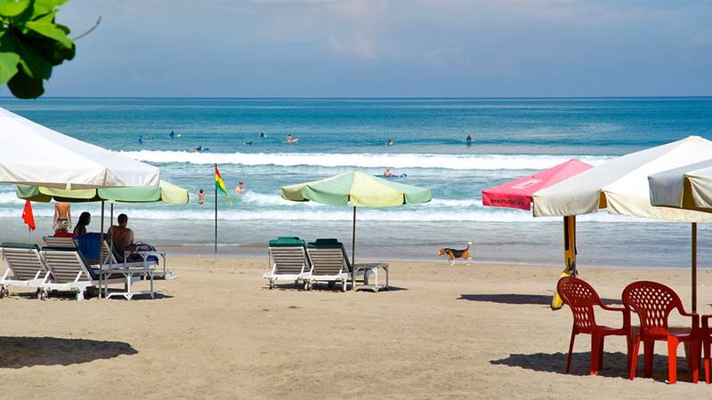 How Cheap Travel Packages Can Help You Save Money on Bali Holiday