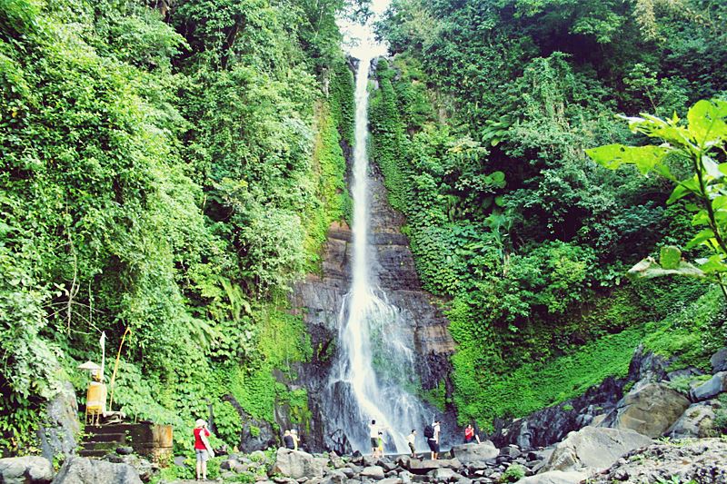 Scenic Drive to Amazing Gitgit Waterfall with Experience Bali Cab Driver 9