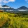 Lets Join with English Bali Cab Driver to Explorer Jatiluwih Rice Terraces