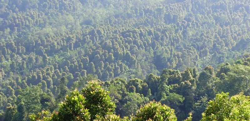 munduk village