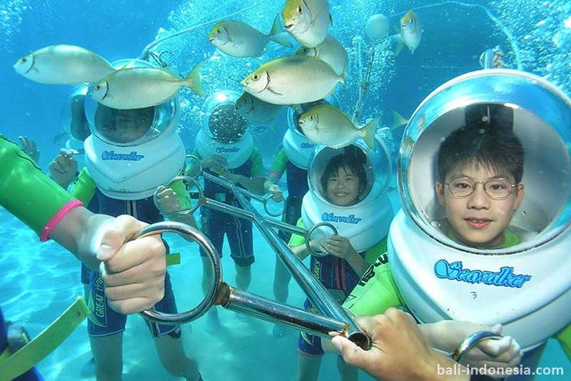 The Unique and Loveable Underwater Tour in Bali 2